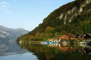 a body of water with a bunch of houses and a mountain at Hotel Châlet Du Lac in Iseltwald