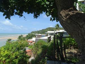 a view of the beach from behind a tree at Hostel Terra Viva in Pipa