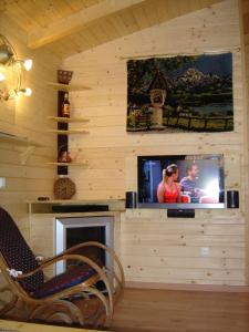 a living room with a tv in a wooden wall at Romantica in Drobollach am Faaker See