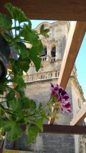 Billede fra billedgalleriet på Casa Mirador San Pedro i Arcos de la Frontera