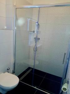 a bathroom with a glass shower with a toilet at Bara Bay in Metajna