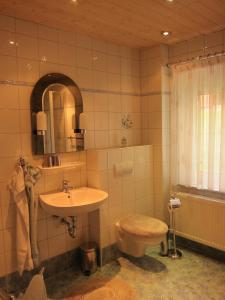 a bathroom with a sink and a toilet at Ferienwohnungen Oberwiesenthal in Kurort Oberwiesenthal