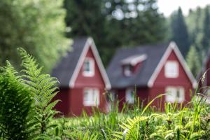 a red house with a black roof in the grass at Erzgebirgsidyll in Breitenbrunn