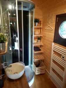 a bathroom with a shower and a sink at Roulotte panoramique du Moulin in Châtillon-sur-Marne