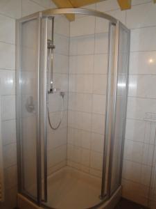 prysznic ze szklanymi drzwiami w łazience w obiekcie Apart Dominika w mieście Ried im Oberinntal +37 zdjęć
