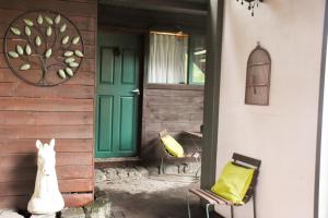 a dog sitting on the porch of a house with a green door at Avoca Park Equestrian Farmstay in Macclesfield