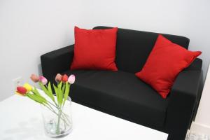 a black couch with red pillows and a vase of flowers at Smart Tech Plaza Studio in Salamanca