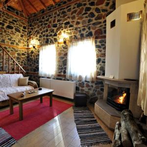 sala de estar con sofá y chimenea en Aroma Elatis, en Palaios Agios Athanasios