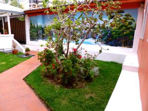 Giardino di Hotel Andino