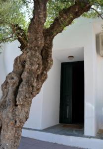 Fotografie z fotogalerie ubytování Regina v destinaci Kalo Chorio