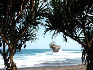 widok na ocean z plaży z palmami w obiekcie Susan Homestay w mieście Batukaras