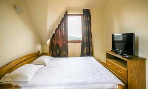 a bedroom with a bed and a tv and a window at Cabana Free Land in Comandău