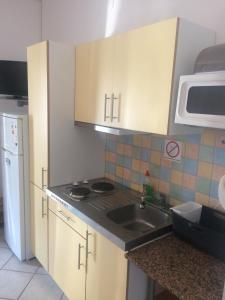 Kuchyň nebo kuchyňský kout v ubytování Flanell Apartments