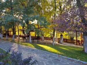 ヴォルゴドンスクにあるMalinka Guest Houseの芝生のベンチと木々のある公園