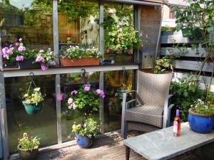 une terrasse avec des plantes en pot, une chaise et une table dans l'établissement B & B Kostelijk, à Boekelo