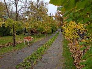 ヴォルゴドンスクにあるMalinka Guest Houseのベンチと木々のある公園内の小道