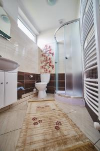 a bathroom with a shower and a toilet and a sink at Penzión Music in Nižný Slavkov +13 photos