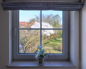 Zahrada ubytování Hotel Alter Wirt