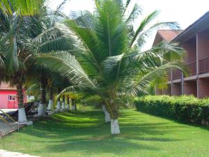 een rij palmbomen voor een gebouw bij Bojo Beach Resort in Botianaw