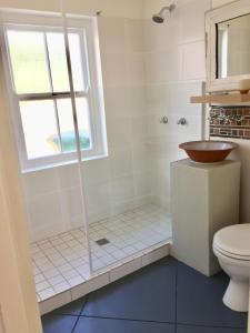uma casa de banho com um chuveiro, um lavatório e um WC. em Olive Cottage em Franschhoek