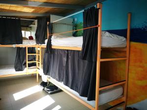 Pura Vida Las Palmas tesisinde bir ranza yatağı veya ranza yatakları