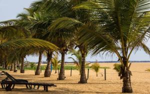 Příroda nedaleko penzionu