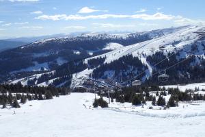 Veselý Svišť Chalet Lachtal v zime