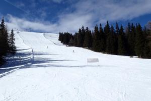 Veselý Svišť Chalet Lachtal v zime