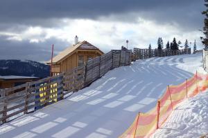 Veselý Svišť Chalet Lachtal v zime