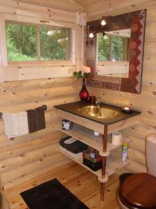 ein Badezimmer mit einem Waschbecken in einer Blockhütte in der Unterkunft Tumbleweed House in Aigrefeuille