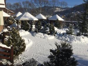 ein schneebedeckter Garten mit Weihnachtsbäumen in der Unterkunft Laguna in Slawske