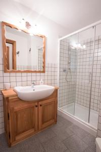 een badkamer met een wastafel en een douche bij Maison De Meuny in Courmayeur