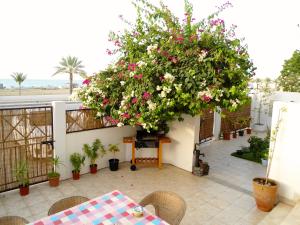A balcony or terrace at Lana Villa