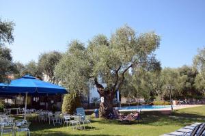 Φωτογραφία από το άλμπουμ του Villa Elia στον Λιμένα