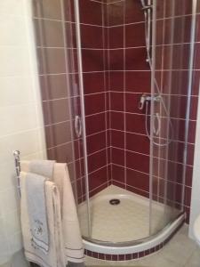 W łazience znajduje się prysznic ze szklanymi drzwiami. w obiekcie Auberge du Col de Neronne w mieście Le Falgoux