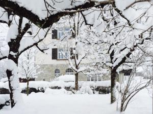 Boutique Apartments Bezau v zimě