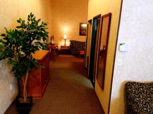 Fotografie z fotogalerie ubytování Rushmore Express & Suites v destinaci Keystone
