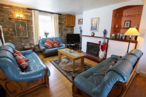 a living room with blue leather furniture and a fireplace at Pleasant Maris in Highweek