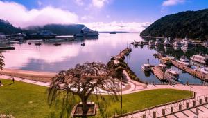 a view of a harbor with boats in the water at Picton Waterfront Penthouse in Picton +12 photos
