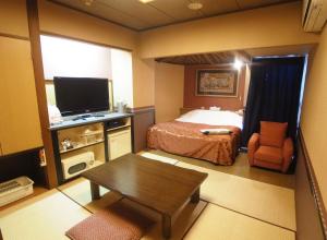 TV a/nebo společenská místnost v ubytování Hotel Mju-Adult Only