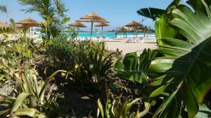 Zdjęcie z galerii obiektu Alcazaba Lagoon Estepona Golf w mieście Estepona