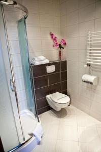 mała łazienka z toaletą i prysznicem w obiekcie Portius w Krośnie