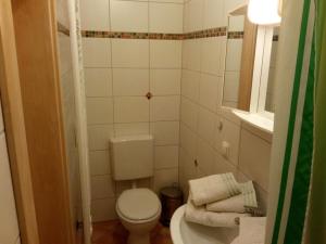 a small bathroom with a toilet and a sink at Pension "Am Tor zum Mainbogen" in Grettstadt