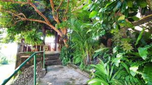 un escalier dans un jardin planté d'arbres et de plantes dans l'établissement Pround Nan Cottage, à Nan