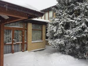 ヴォルゴドンスクにあるMalinka Guest Houseの雪に覆われた木