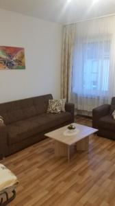 ein Wohnzimmer mit einem Sofa und einem Couchtisch in der Unterkunft Monteurwohnungen Santos Lerch in Krefeld
