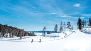un grupo de personas esquiando por una pista cubierta de nieve en Hotel Post Karlon, en Aflenz Kurort