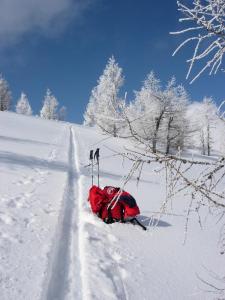 a red bag sitting in the snow with skis on it at Hotel Post Karlon in Aflenz Kurort