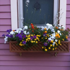 Gallery image of Rose & Thistle Bed & Breakfast in Cooperstown +14 photos