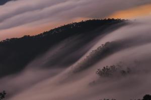 a foggy mountain with trees in the background at Sun Moon Lake Jinlongshan BnB in Yuchi +38 photos